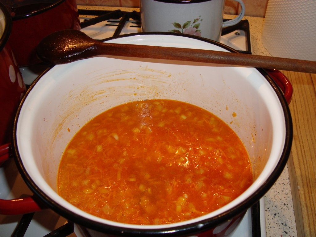 Tocanita de vitel cu piure de cartofi