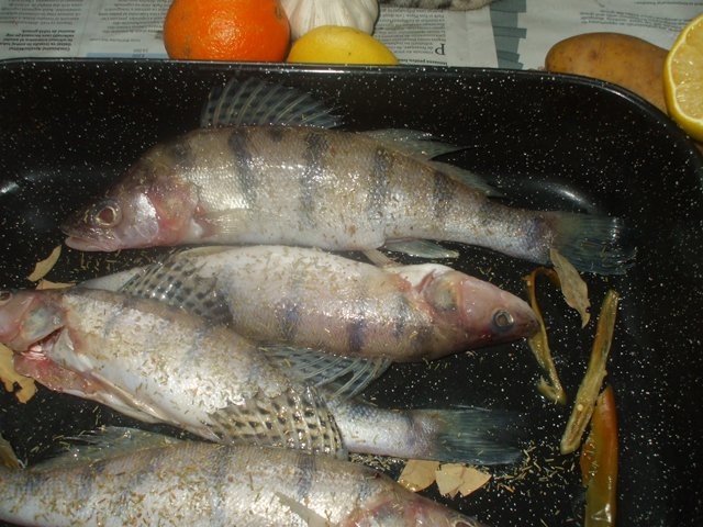 Salau cu fructe la cuptor