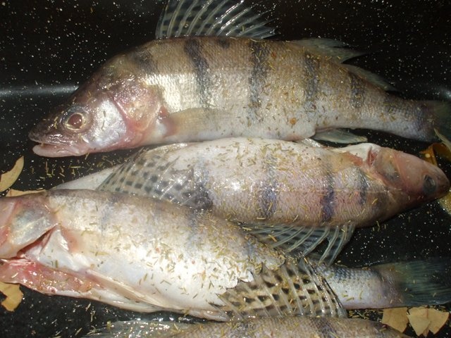 Salau cu fructe la cuptor