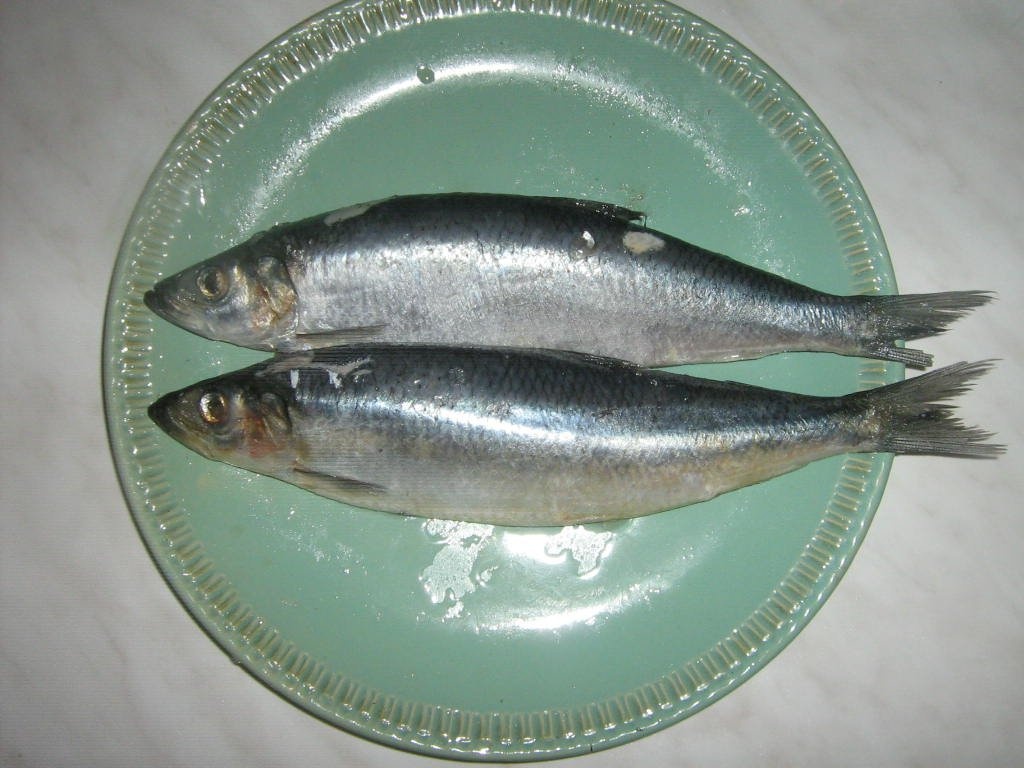 Hering marinat. Reteta simpla de conserva de peste facuta in casa