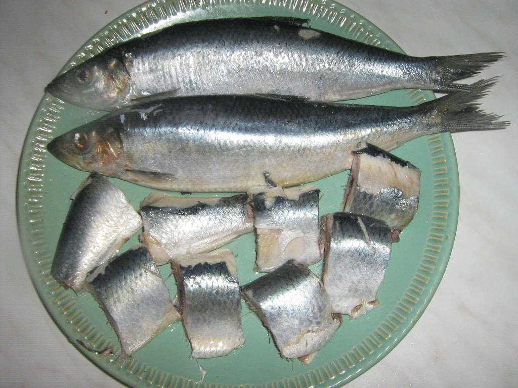 Hering marinat. Reteta simpla de conserva de peste facuta in casa