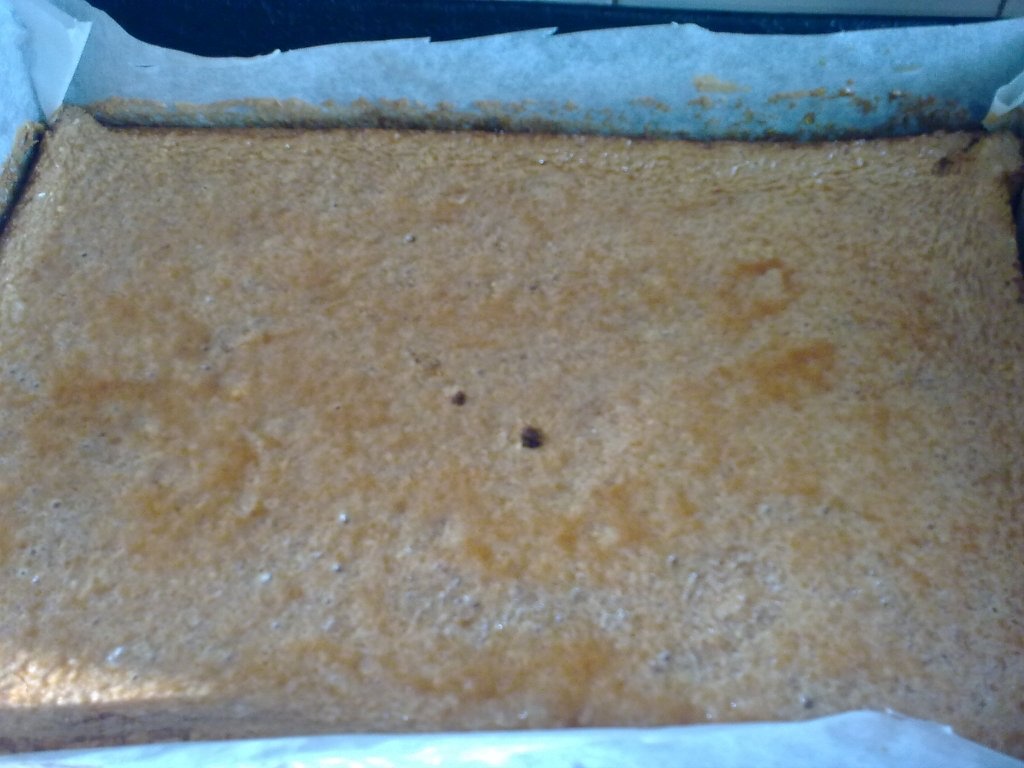 Prajitura cu nuca de cocos si frisca