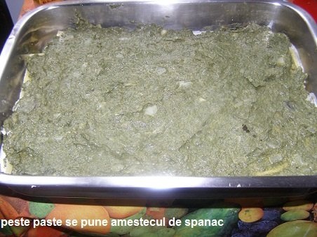 lasgna cu spanac