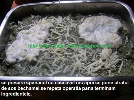 lasgna cu spanac