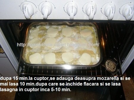 lasgna cu spanac