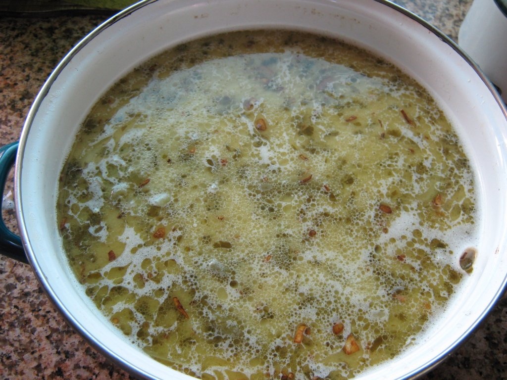 Supa de bob verde cu carne de vita si iaurt-specific tarilor arabe