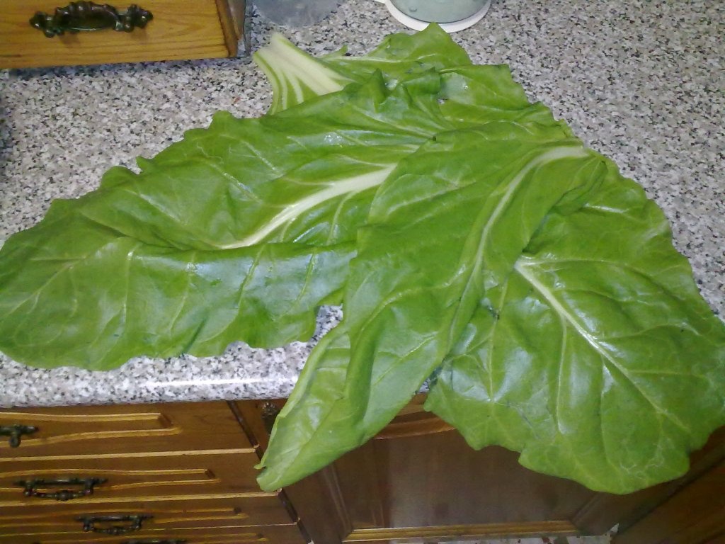 Potaje de acelga(tocana de cardon)