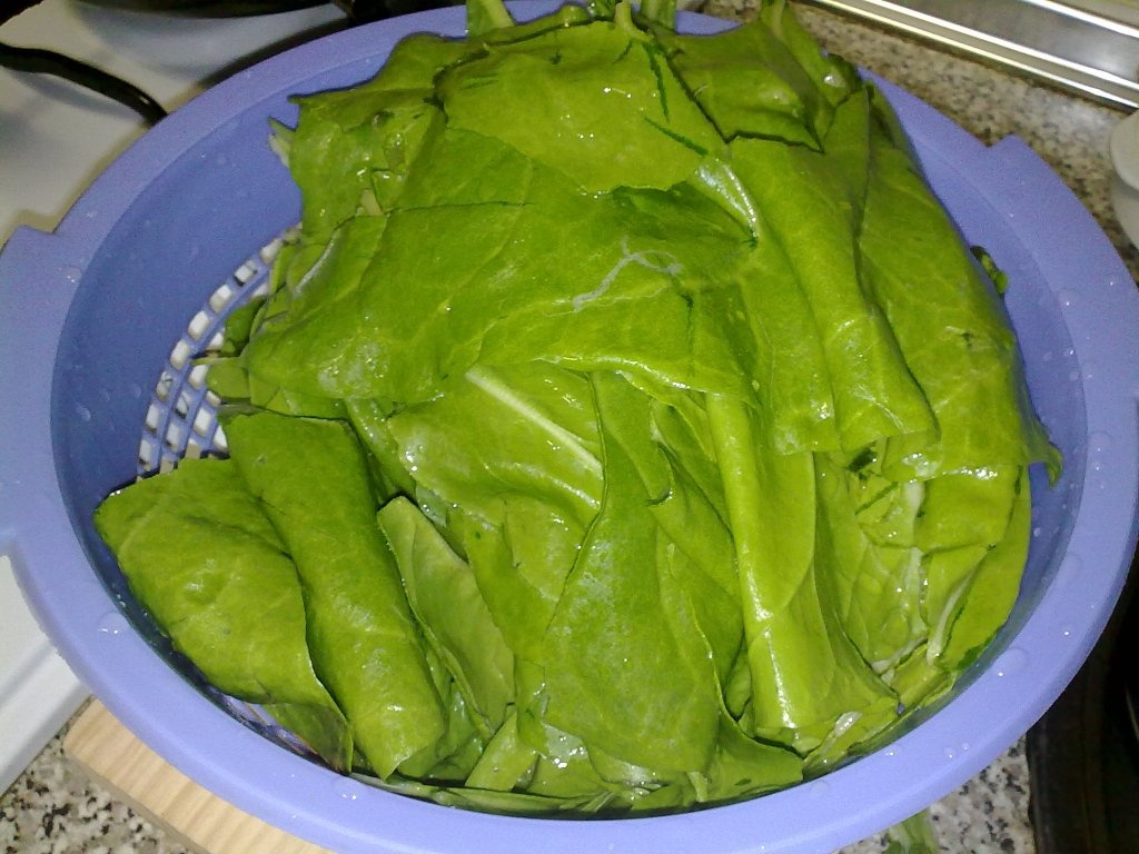 Potaje de acelga(tocana de cardon)