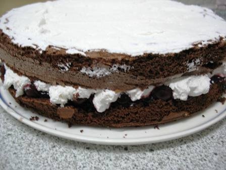 Tort "Pădurea Neagră"