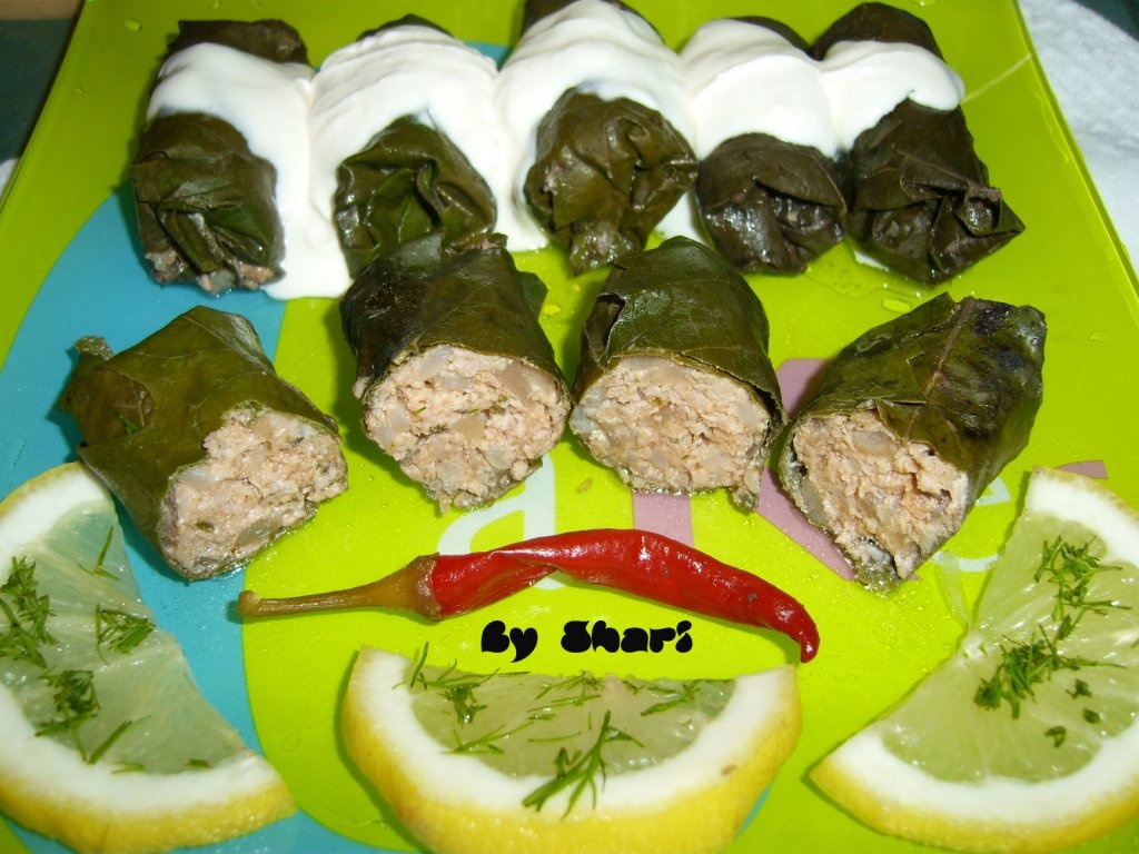 Sarmalute in foi de vita