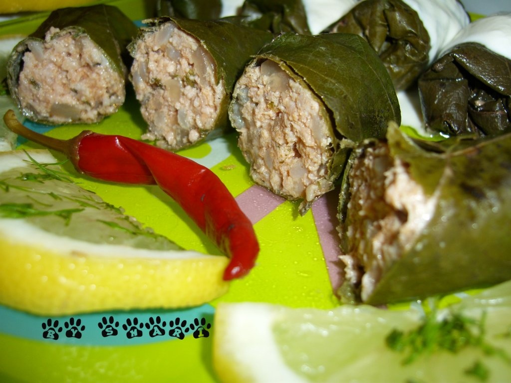 Sarmalute in foi de vita