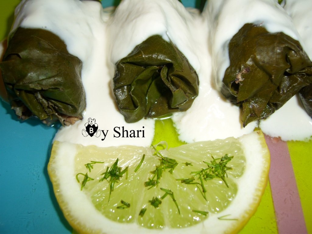 Sarmalute in foi de vita