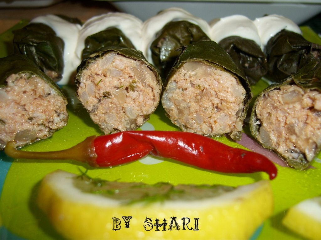 Sarmalute in foi de vita