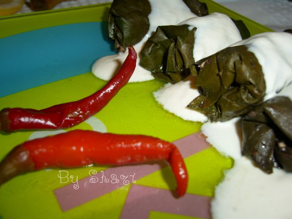 Sarmalute in foi de vita