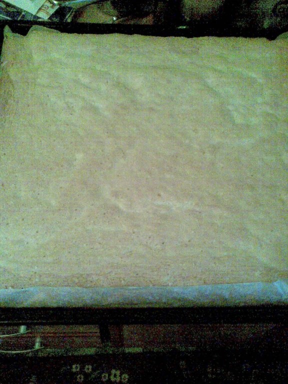 Tavalita cu pandispan