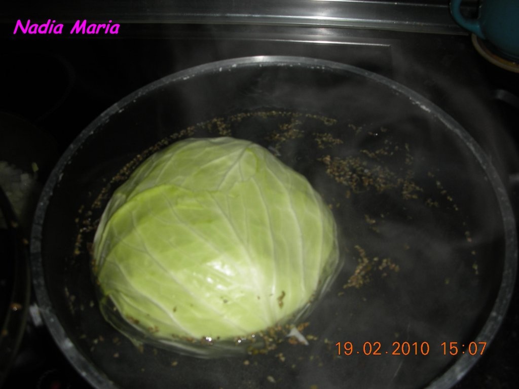 Galuste cu pasat(sarmale cu pasat)