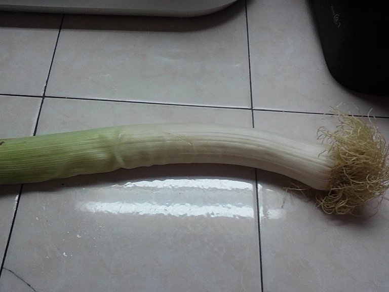 Mancarica de praz cu masline