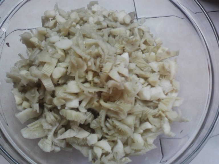 Mancarica de ciuperci pleurotus