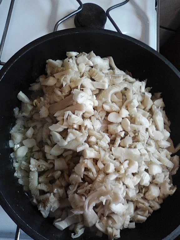 Mancarica de ciuperci pleurotus