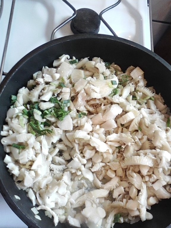 Mancarica de ciuperci pleurotus