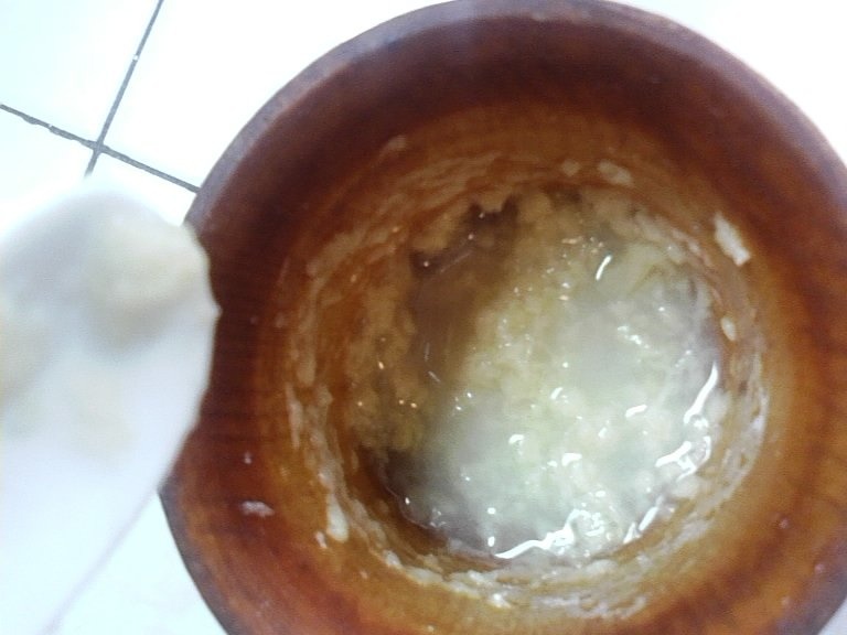 Mancarica de ciuperci pleurotus