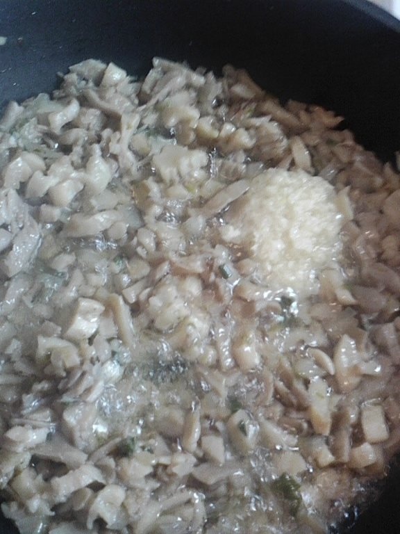 Mancarica de ciuperci pleurotus