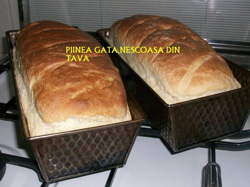Toast (paine)