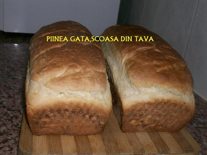 Toast (paine)