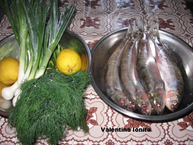 Scrumbie umpluta cu verdeturi-specialitate dobrogeana