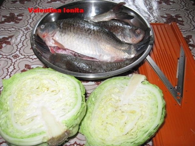 Peste umplut cu varza-specialitate dobrogeana