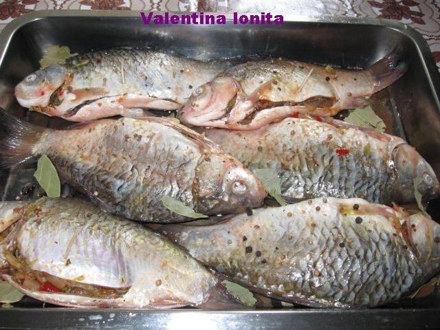 Peste umplut cu varza-specialitate dobrogeana