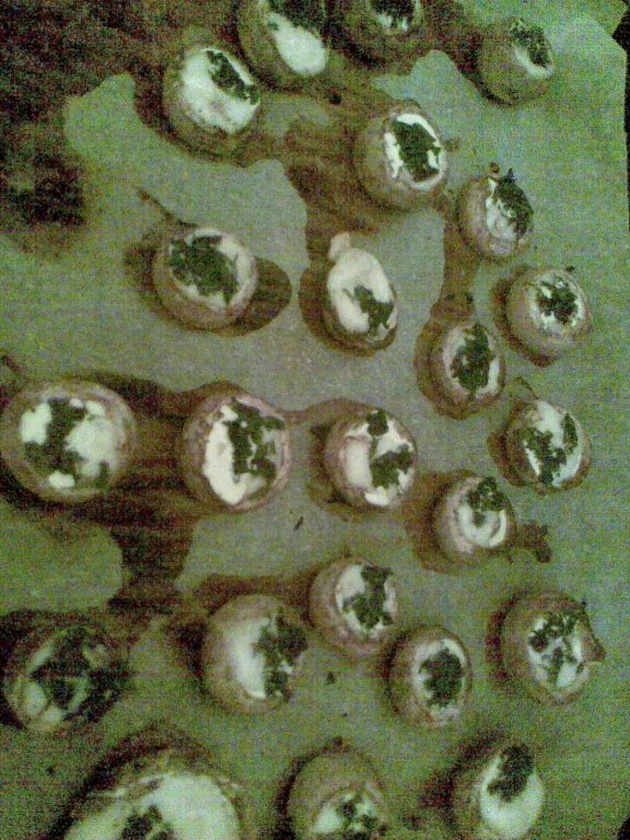 Ciuperci  cu cascaval