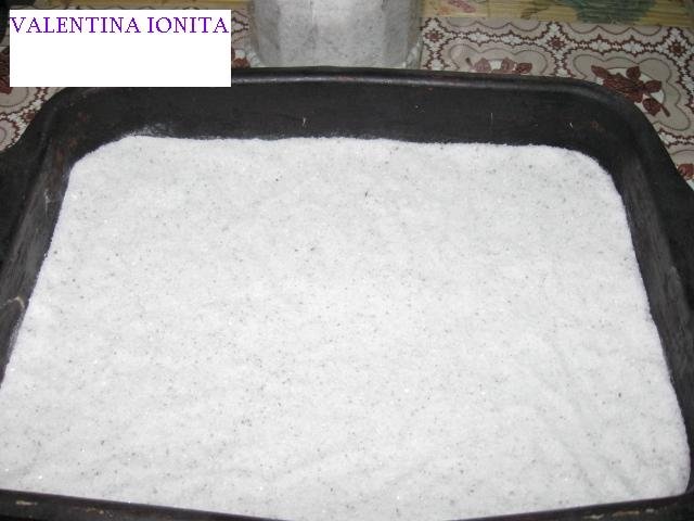 Dorada gustos si exotic in crusta de sare