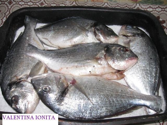 Dorada gustos si exotic in crusta de sare