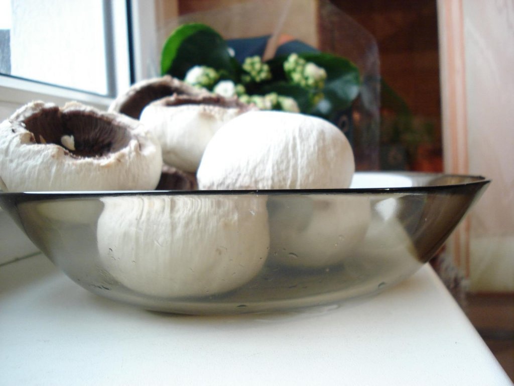 Pilaf cu ciuperci si pui