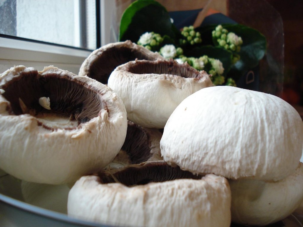 Pilaf cu ciuperci si pui