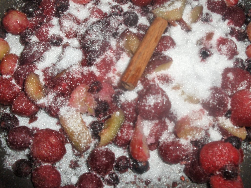 Mousse din Fructe de Padure