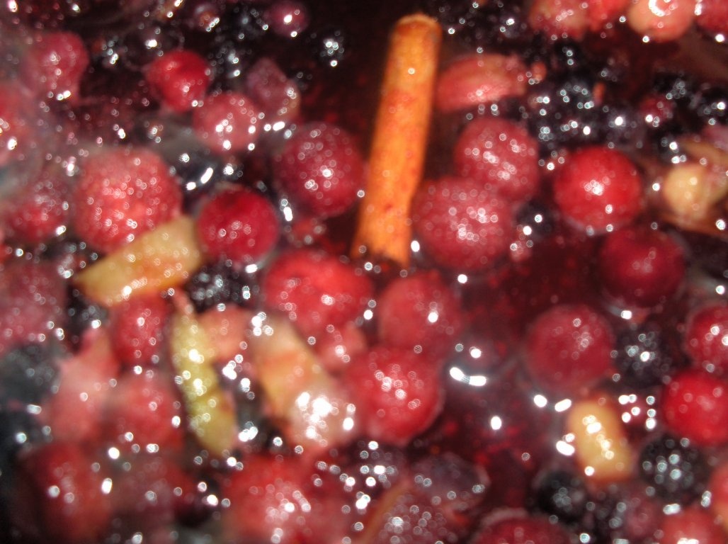 Mousse din Fructe de Padure