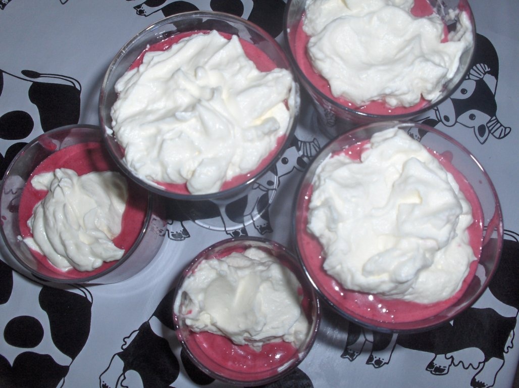 Mousse din Fructe de Padure