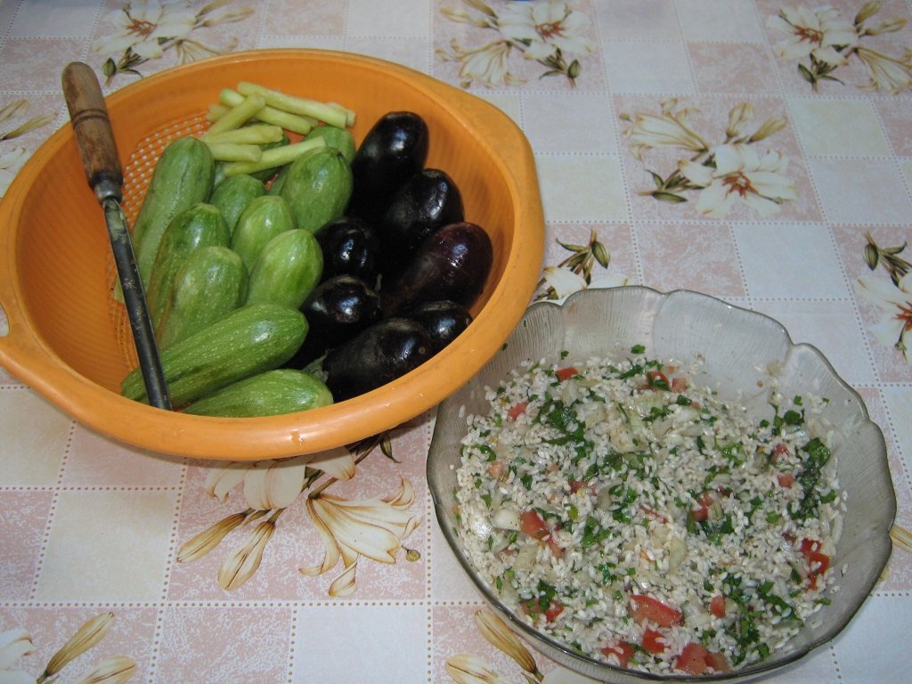 Supa de dovlecei umpluti si vinete umplute de post