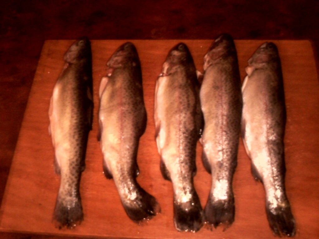 Pastrav cu ceapa si mamaliga