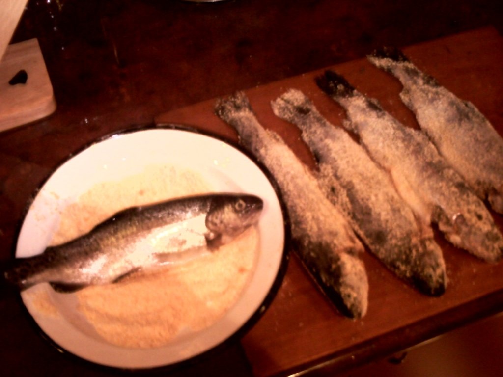 Pastrav cu ceapa si mamaliga