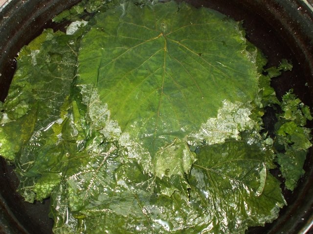 Sarmalute cu soia si ciuperci in foi de vita (de post)