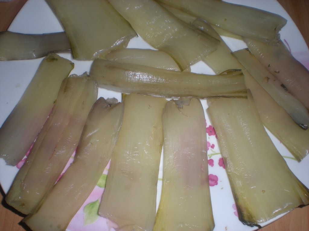 Cozi de stevie pané