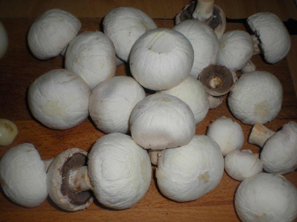 Ciuperci cu smantana