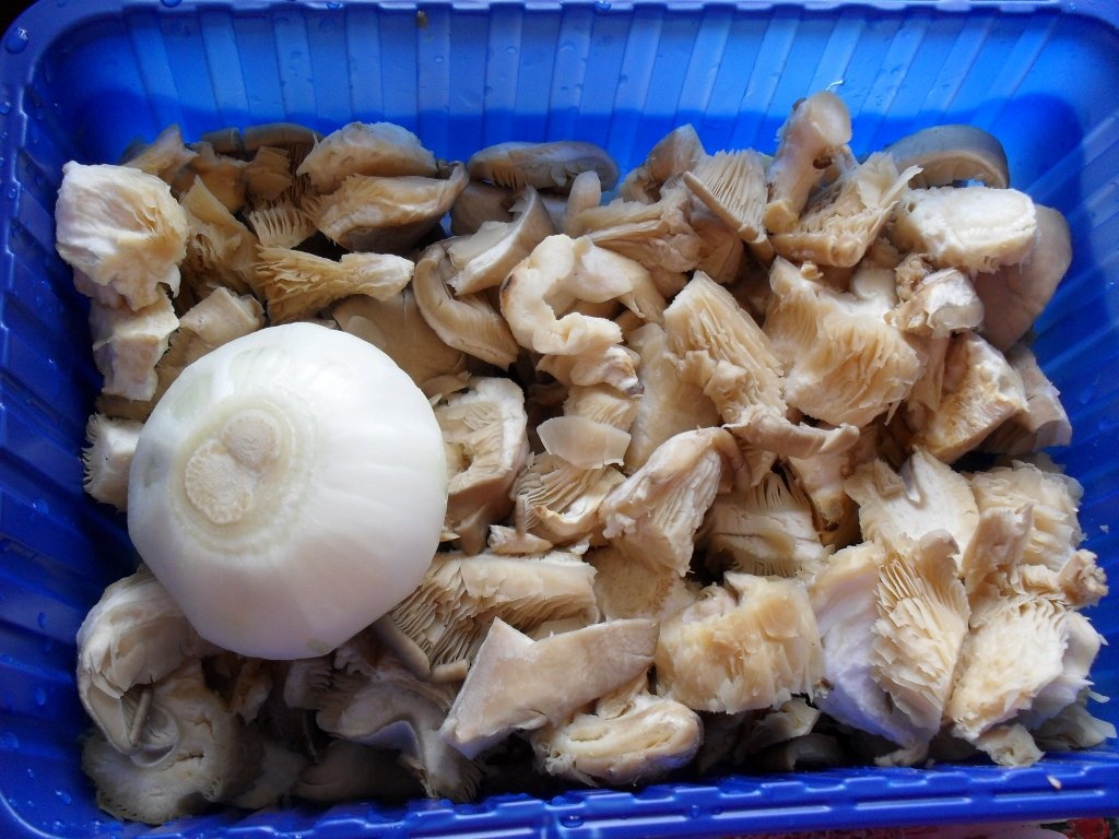 Tocanita de ciuperci Pleurotus