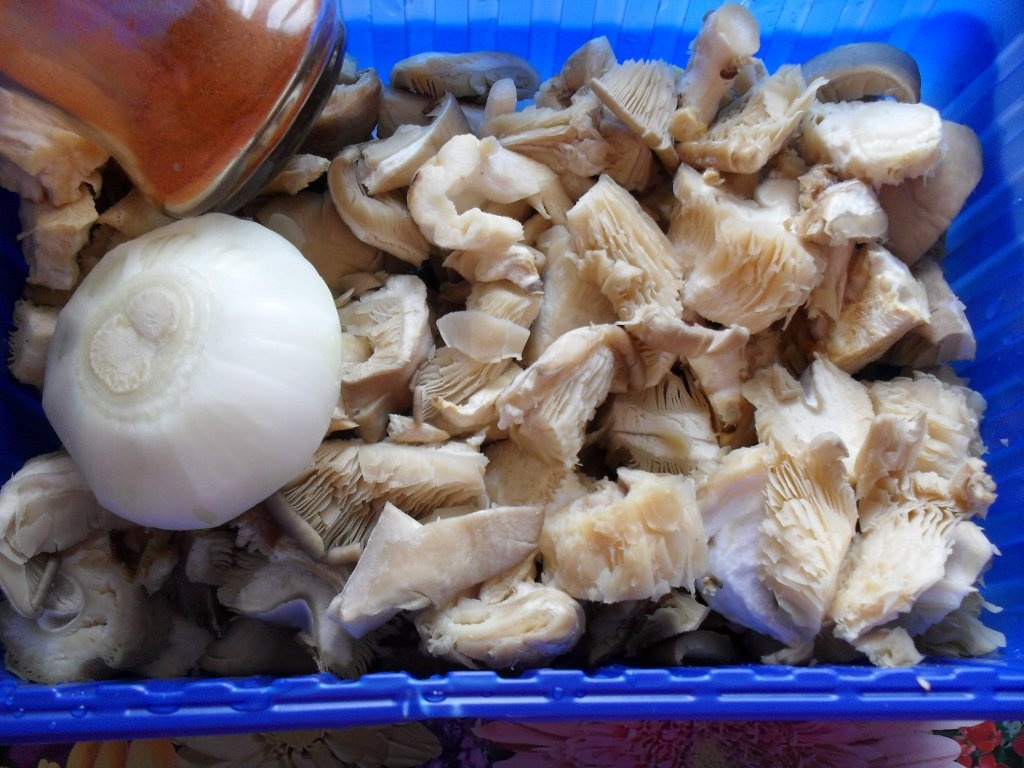 Tocanita de ciuperci Pleurotus