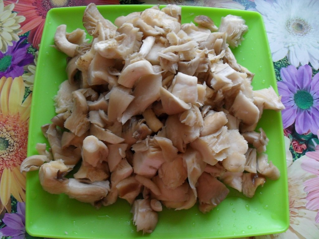 Tocanita de ciuperci Pleurotus