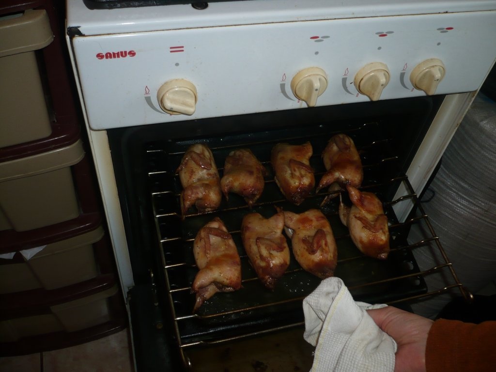 Prepelite la cuptor cu garnitura de legume la wok