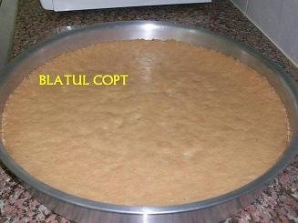 Prajitura  Zina(printesa)